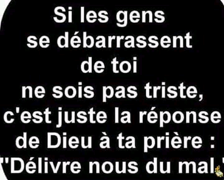 FB_IMG_15369622869881781