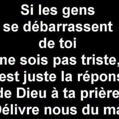 FB_IMG_15369622869881781